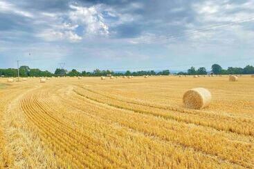 דירות לתיירים Beautiful Countryside House With Jacuzzi Close To Dublin City