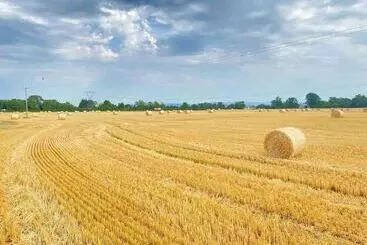 Vakantie-appartementen Beautiful Countryside House With Jacuzzi Close To Dublin City