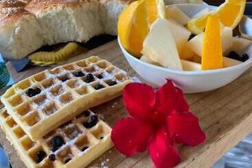 膳宿费 The Doft Villa