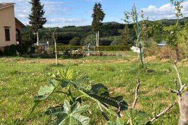 Agriturismo La Palma Sambuca Val Di Pesa