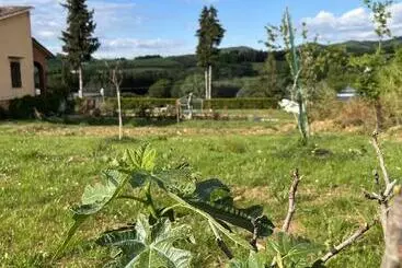 Agriturismo La Palma Sambuca Val Di Pesa