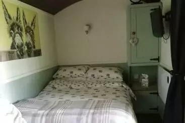 ペンション Durham Donkey Rescue Shepherd S Hut