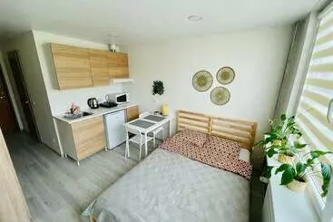 آپارتمان‌های توریست‌ها Taikos Studio 8