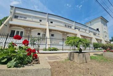 בית מלון כפרי Argeș With Private Courtyard And Garden