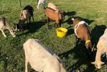 Majatalo Chambre Familiale à La Ferme