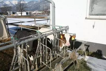 Отель Guschahof