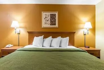 酒店 Quality Inn & Suites