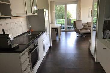 관광객 아파트 Serviced Apartments Hertingen