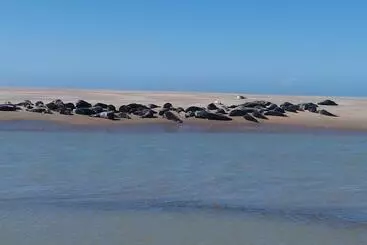 Turistlejligheder Le Gîte De La Salicorne