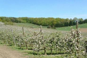 별장 Apfelhof Flieder