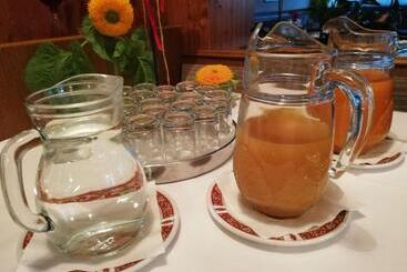 膳宿费 Gasthof Ochsen