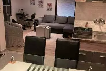 آپارتمانهای توریستها Apartman Djokic 1