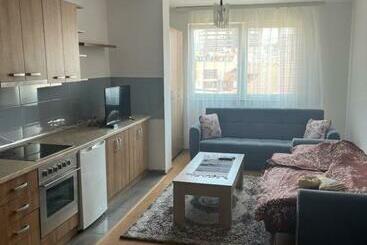 游客公寓 Centrum Apartment 3