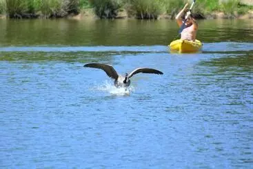 酒店 Château De La Motte Beaumanoir