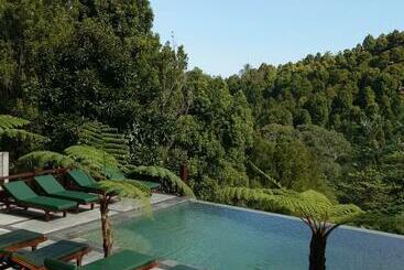 호텔 Bintang Munduk