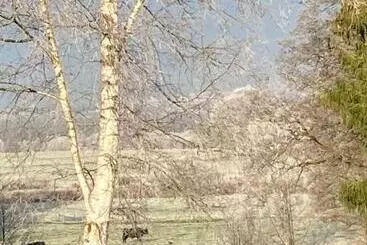 Bed & Breakfast Sleep Inn Bed&breakfast