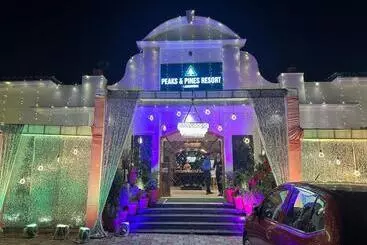 هتل Peaks And Pines Resort