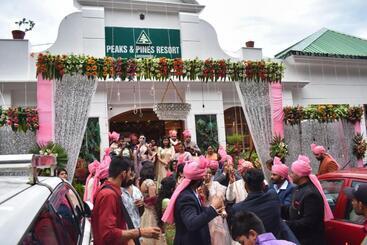 Hotel Peaks And Pines Resort
