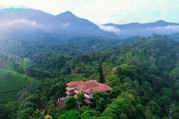 Flora Vythiri Resort