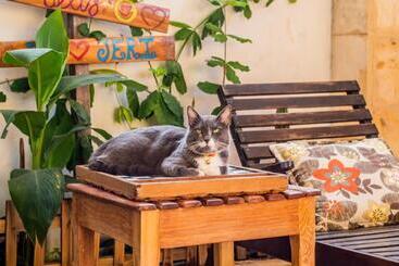 پانسیون Pousada Solar Da Praia Jeri