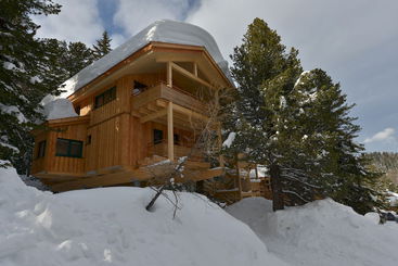 فندق Alpenpark Turracher Höhe