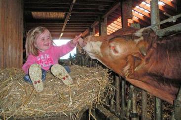 Mökkimajoitus Bauernhof Kirch