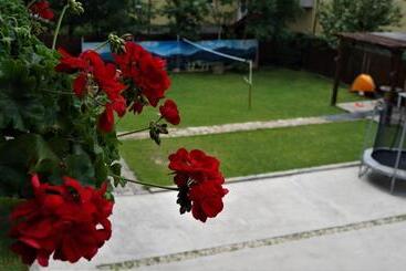 Hotel Pensiunea Medieval