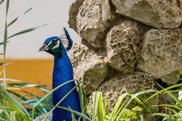 בית מלון כפרי Quinta Da Foz