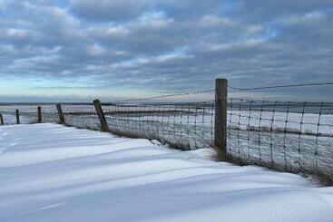 Apartamentos turísticos Ferienwohnung Pit Am Nordseedeich