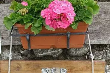 Daniela B&b Affittacamere