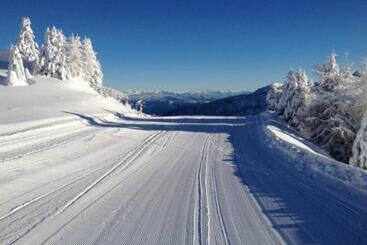 Residence Vacanze Apartments