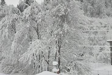Pensiunea La Padure Cheia, Prahova