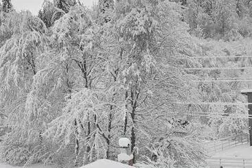 Pensiunea La Padure Cheia, Prahova