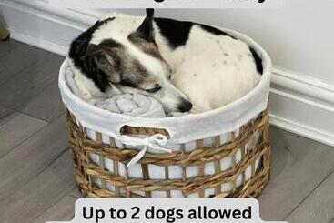 Apartamentos turísticos Taff Valley Cottage By Staystaycations