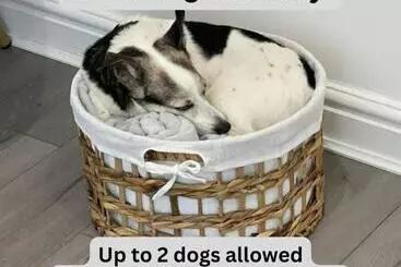 ツーリストアパートメント Taff Valley Cottage By Staystaycations