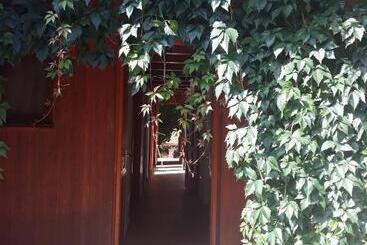 Panzió Vadszőlős Porta