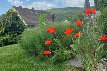 ツーリストアパートメント Ferienwohnung Jardin De Lavande