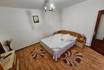 ペンション Vila Vlăduț