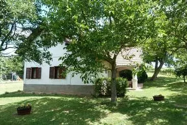 ペンション István Pince Vendégház