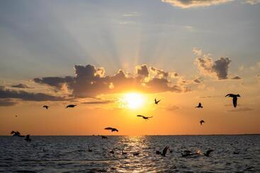 Danube Delta Hostel Homestay & Camping