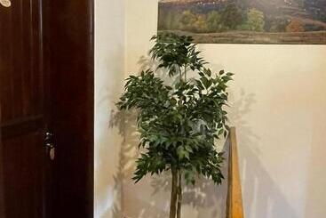 ペンション Vila Sofia