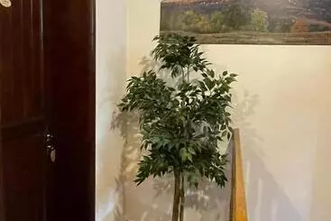 ペンション Vila Sofia