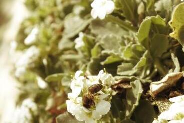 Bed and Breakfast Notre Bergerie