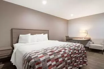 モーテル Red Roof Inn Rocky Mountbattleboro