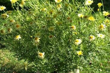 膳宿费 Illés Vendégház