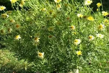 Majatalo Illés Vendégház