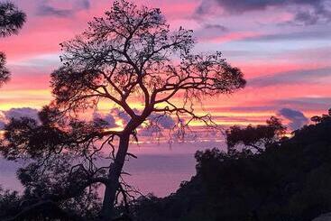 בית מלון כפרי The Fabric Lounge