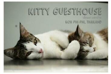 酒店 Kitty Guesthouse
