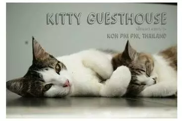 ホテル Kitty Guesthouse