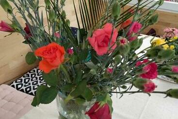 Apartamentos turísticos Zelfies Kunstapartment